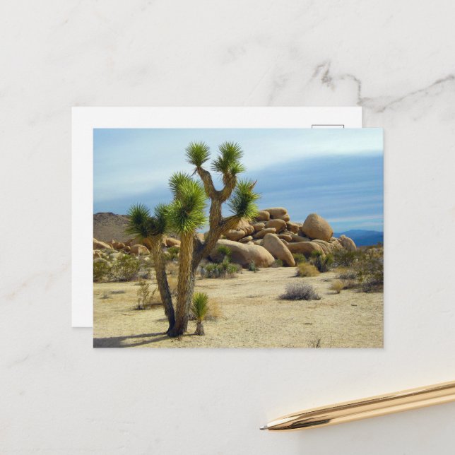 Carte Postale Succulents du désert de Californie, rochers et cie (Devant/Arrière en situation)