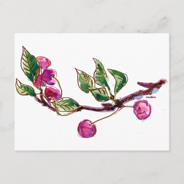 Carte Postale Succursale de cerise (Devant)