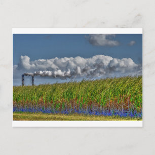 CARTE POSTALE SUCRE CANNE MOLL RURAL QUÉENSLAND AUSTRALIE