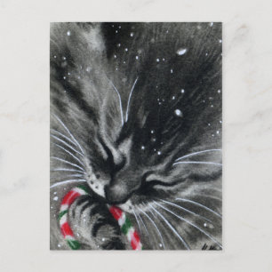 Carte postale sucre de canne Kitten Cat