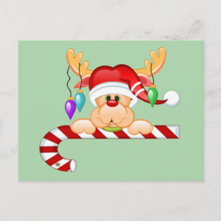 Carte Postale Sucre de canne Rudy