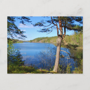 Carte postale suédoise
