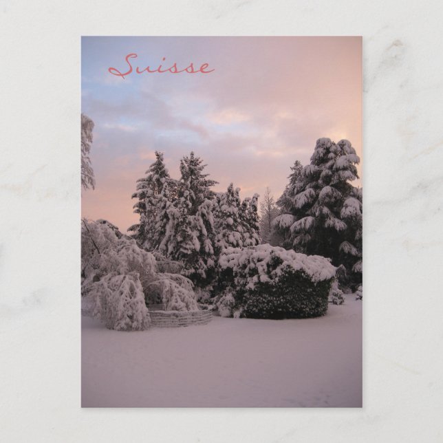 Carte Postale Suisse (Devant)