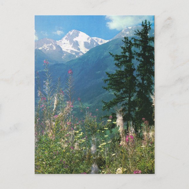 Carte Postale Suisse, région Jungfrau au printemps (Devant)