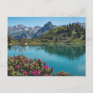 Carte Postale Suisse Truebsee Titlis