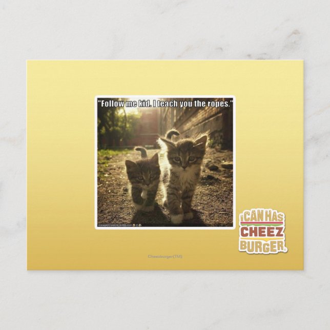 Carte Postale Suivez-moi mon enfant (Devant)