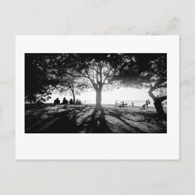 Carte Postale Suivre la lumière 1 (Devant)