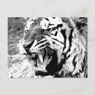 Carte Postale Sumatran Tiger