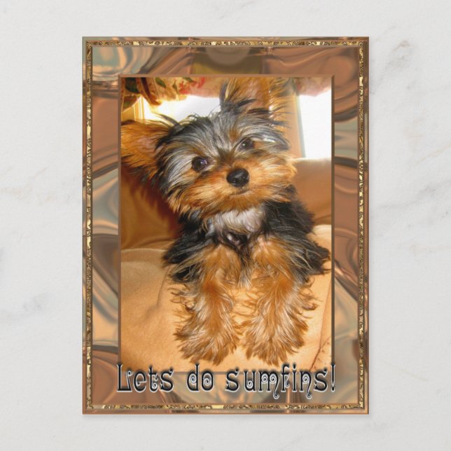 Carte Postale Sumfines Yorkie (Devant)