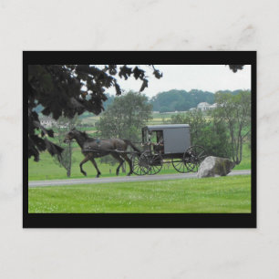 Carte Postale Summer dans le comté de Lancaster 71