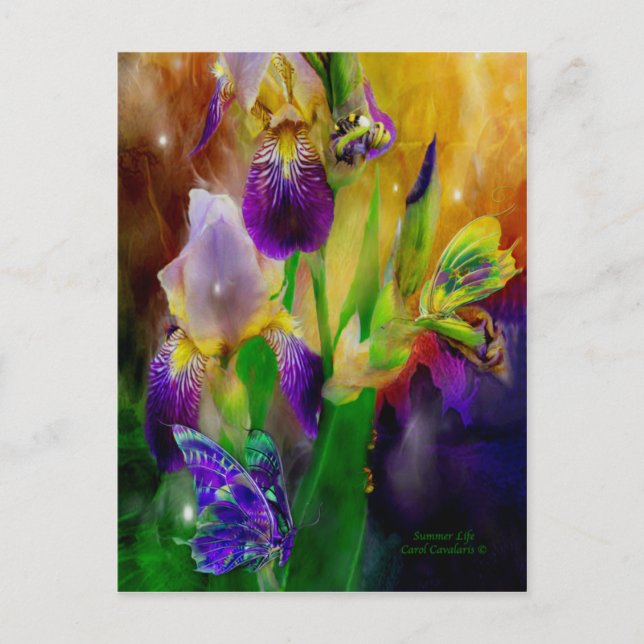 Carte postale Summer Life (Devant)