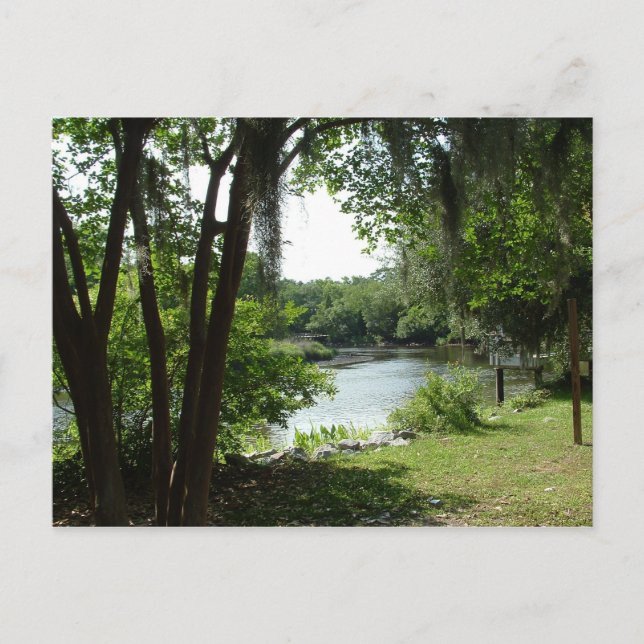 Carte Postale Summerville, SC (Devant)