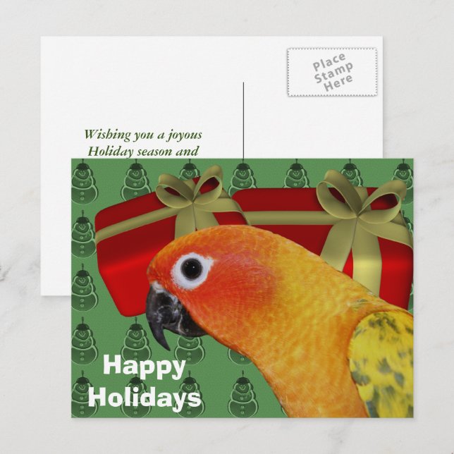 Carte postale Sun Conure Parrot Christmas Holiday (Devant / Derrière)