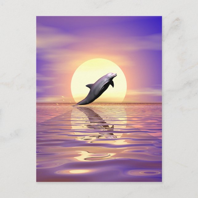 Carte Postale Sun Dolphin (Devant)
