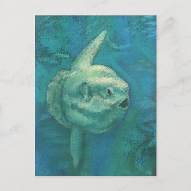 Carte Postale Sun Fish, Mola Mola Ocean Underwater Animaux Art (Devant)