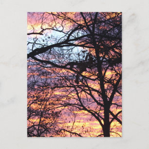 Carte Postale Sun Rise