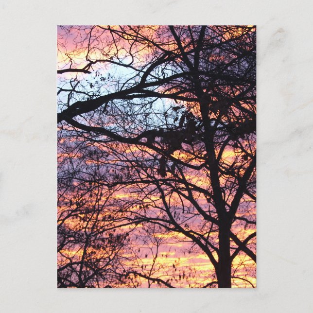 Carte Postale Sun Rise (Devant)