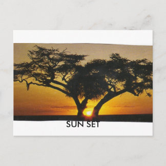 CARTE POSTALE SUN SET