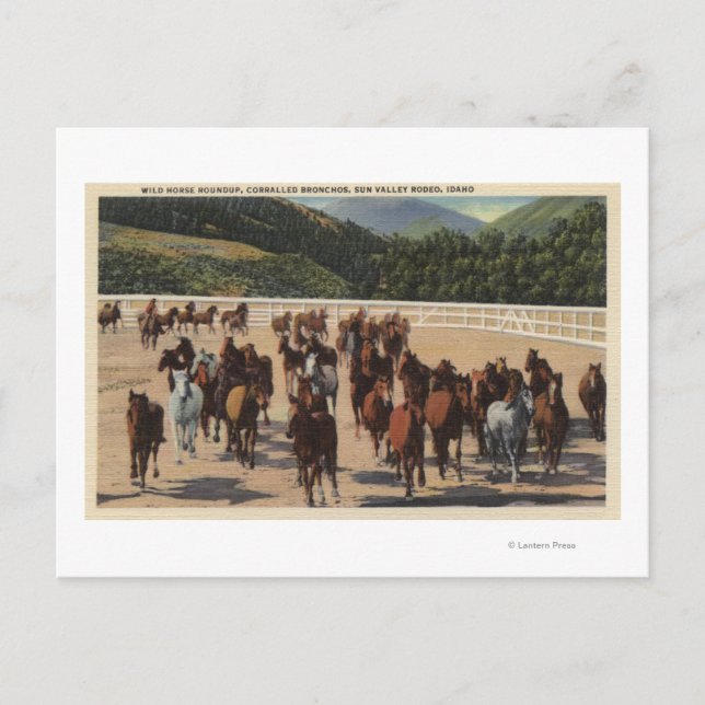 Carte Postale Sun Valley, ID - Wild Horse Roundup (Devant)