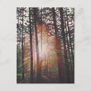 Carte Postale Sunburst 2010