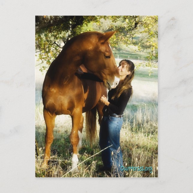 Carte postale Sundance Stormy (Devant)