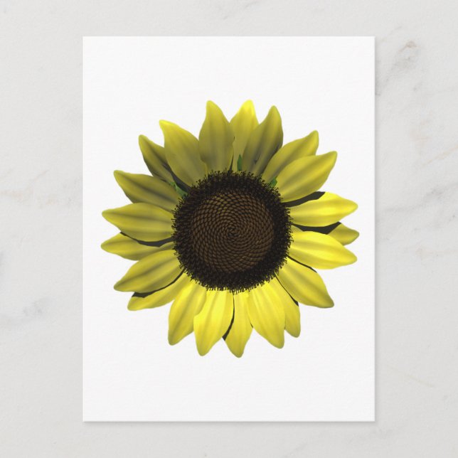 Carte postale Sunflower (Devant)