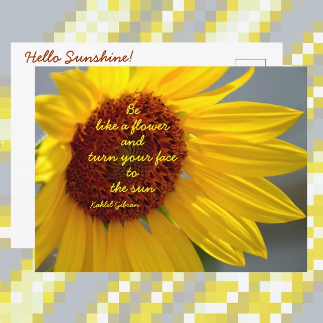 Carte Postale Sunflower Be Like a Flower quote Photographie (Créateur téléchargé)