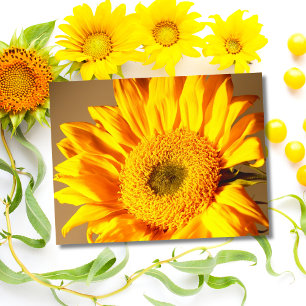 Carte postale Sunflower jaune