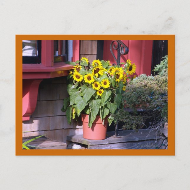 Carte postale Sunflower Pot (Devant)
