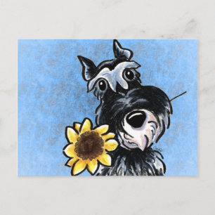 Carte Postale Sunflower Schnauzer Off-Leash Art™
