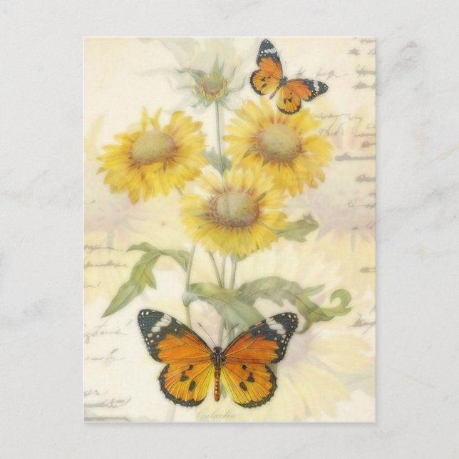 Carte Postale Sunflowers and butterfly (Devant)
