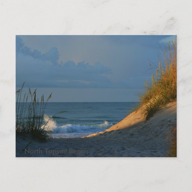 Carte Postale 'Sunlit' (Devant)