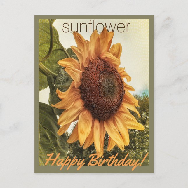 Carte postale Sunny Birthday Wings (Devant)
