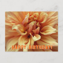Carte postale Sunny Dahlia/Bonne fête d'anniversai