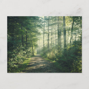 Carte Postale Sunny Octobre Matin à Hambourg