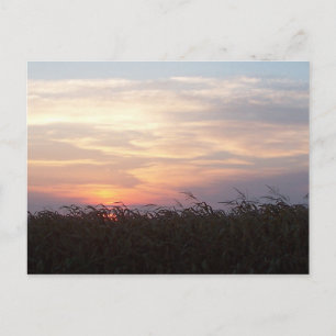 Carte Postale Sunrise d'août