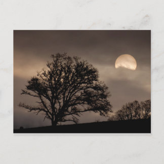 Carte Postale Sunrise de la vallée de l'Umpqua