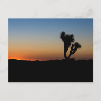 Carte Postale Sunrise du désert