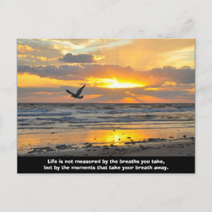 Carte postale Sunrise fiançailles Daytona Beach, F