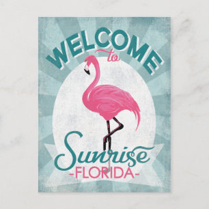 Carte Postale Sunrise Florida Flamant rose rose Rétro