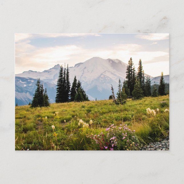 Carte Postale Sunrise Mt. Rainier Gifts (Devant)