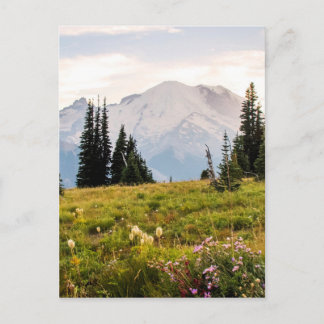 Carte Postale Sunrise Mt. Rainier Gifts