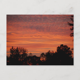 Carte Postale Sunrise Postcard