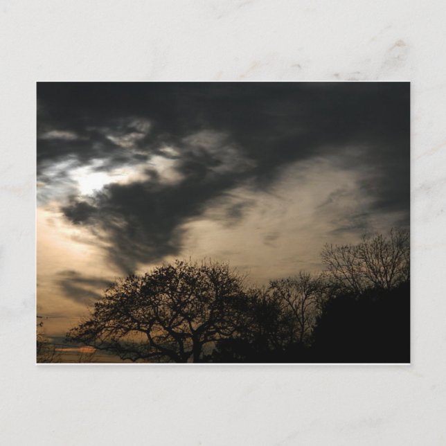 Carte postale Sunset (Devant)