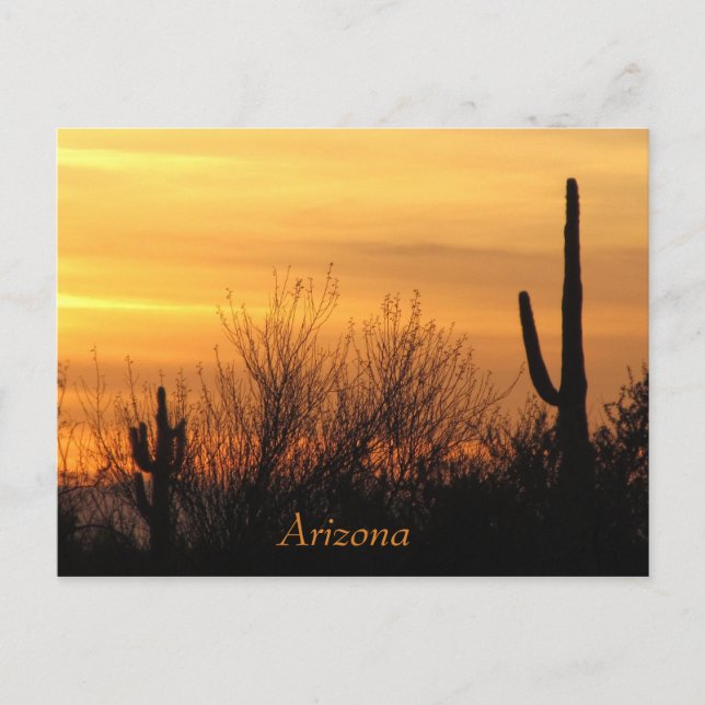 Carte Postale Sunset 3 Arizona (Devant)