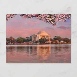 Carte Postale Sunset at Jeferson Memorial with Cherry Blossoms