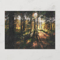 Sunset de la forêt de Sherwood