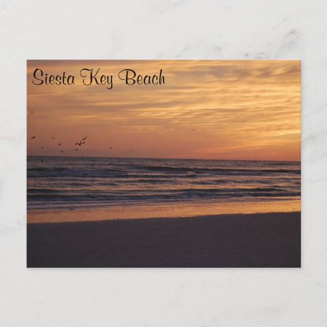 Carte Postale Sunset de la plage de Siesta Key (Devant)