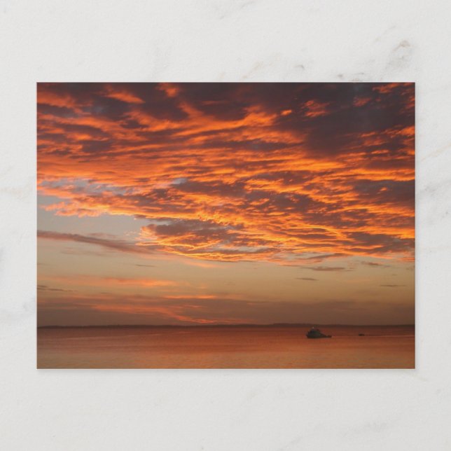 Carte Postale Sunset de l'île Fraser (Devant)