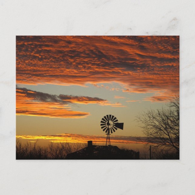 Carte Postale Sunset de Western (Devant)